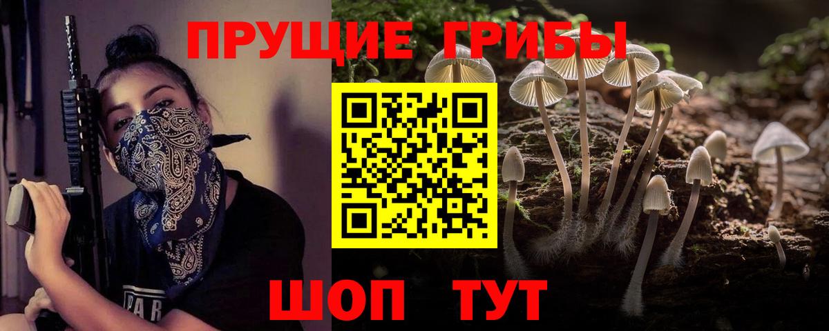 Галлюциногенные грибы Magic Shrooms Видное