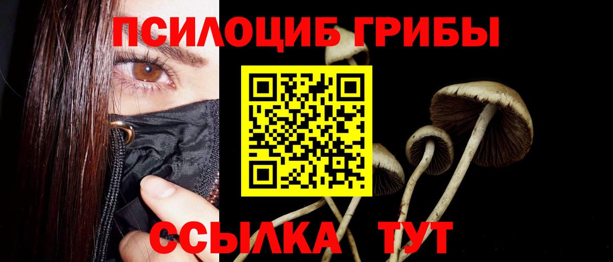 Видное  Галлюциногенные грибы прущие грибы  что такое наркотик  Вход с VPN 